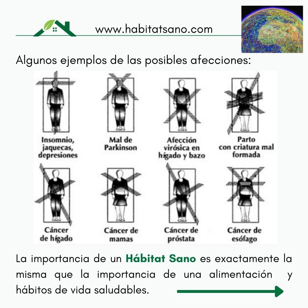 Geobiologia Maresme