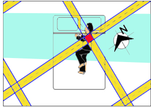 Estudio de geobiologia